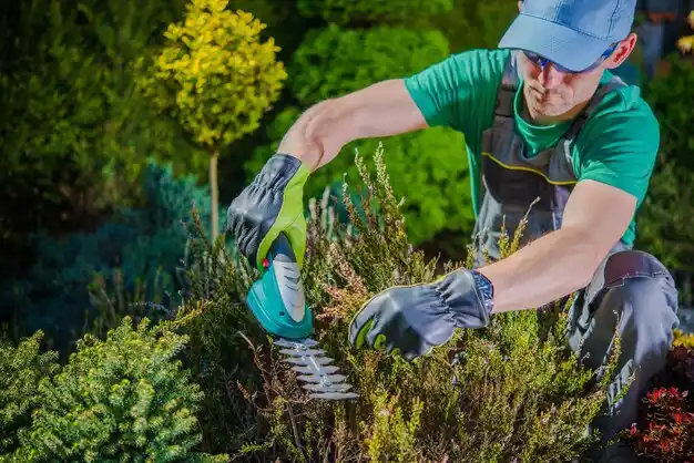 landscaping services Ellsinore